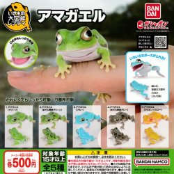 画像1: ガチャガチャ いきもの大図鑑レプティ アマガエル