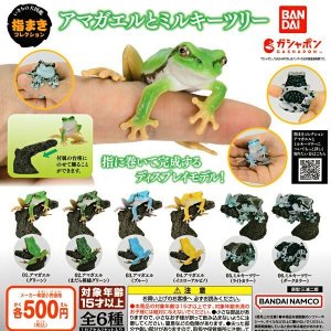 リアル系 - FROGS カエルグッズ専門店【自由が丘】