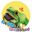 画像5: 【再入荷待ち】アマガエル リュック